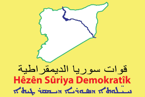 SDF Flag